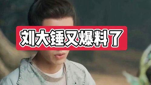 刘大锤爆料后续视频播放,揭秘视频背后的惊人真相